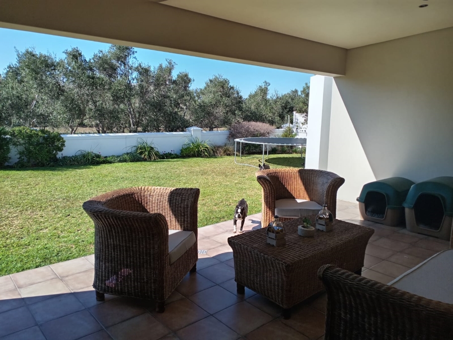 To Let 3 Bedroom Property for Rent in Croydon Olive Estate Western Cape
